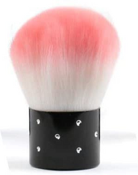 SHILLS PROFESSIOANL CAT EYES MAGNET