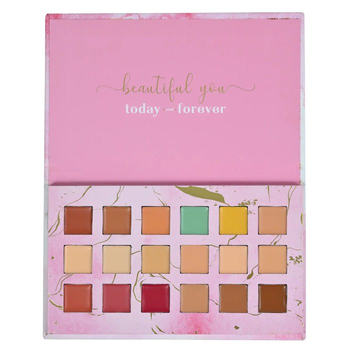 AFLAIRZA ONE FOR ALL CONCEALER-FOUNDATION-CONTOUR-BLUSH PALETTE