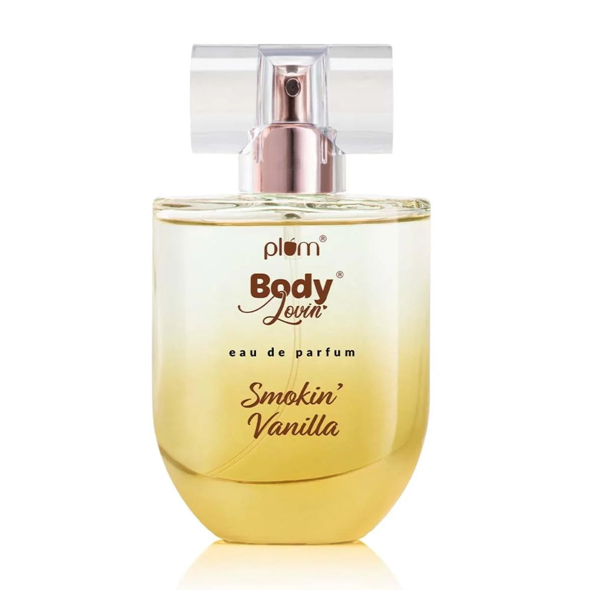 51Znbk6V+QL._SL1200_