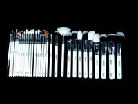 SHILLS EXCLUSIVE MAKUEP ARTIST BRUSH SERIES 30 PCS SET