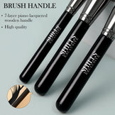 SHILLS EXCLUSIVE MAKEUP ARTIST BRUSH SERIES 20 PCS SET
