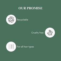 CABELO CHAVE PROFESSIONAL Anti-Dandruff Hair Shampoo | Tea Tree Infused | Controls Flakes, Itchy & Dry Scalp | Anti-Dandruff Treatment for Men & Women | 300ml