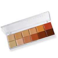 SHOPAAREL COVER ALL CONCEALER PALETTE 100% WATERPROOF FULL COVERAGE LONG WEAR