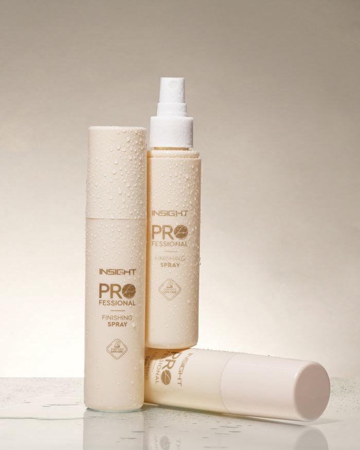 INSIGHT PROFESSIONAL FINISHING SPRAY