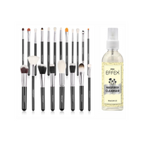 PRO EFFEX MAKEUP BRUSH 20 PC SET