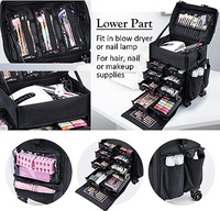 Vanity For Multi Function Artist Rolling Trolley Makeup Beauty Train Case Cosmetic Organizer(Black)