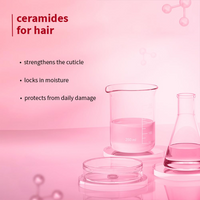 Plum Hibiscus & Ceramides Long & Healthy Shampoo | Hydrates & Conditions Hair, Prevents Split Ends |Contains Hibiscus Extracts, Ceramides |100% Vegan | 250ml