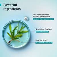 Pilgrim Australian Tea Tree Anti-Dandruff Unscented Conditioner For All Hair Type 200 millilitre | Smoothens Strands & Detangles Hair | Fights and Prevents Dandruff | For Men & Women (Pack of 1)