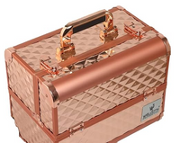 WELOCITY PROFESSIONAL Large Makeup Train Case with Shoulder Strap Cosmetic Vanity Box