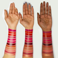 SHOPAAREL RICH COLOR LIP PALETTE HYDRATING SOFT MATTE TO SATIN FINISH NATURAL OIL EXTRACT