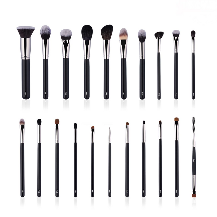 PAC ABSOLUTE BASICS BRUSH SERIES 21 ESSENTIAL BRUSHES ONE KIT