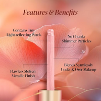 FACES CANADA 3 IN 1 LIQUID HIGHLIGHTER