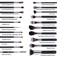 PAC ABSOLUTE BASICS BRUSH SERIES 21 ESSENTIAL BRUSHES ONE KIT