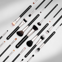 PAC ABSOLUTE BASICS BRUSH SERIES 21 ESSENTIAL BRUSHES ONE KIT