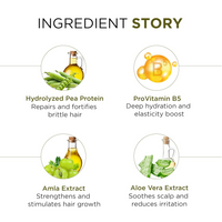 Oshea Herbals Botanical Keratin Hair Repair Shampoo | Restores Hair Protein, Reduces Breakage & Improves Texture | Enriched with Hydrolyzed Pea Protein & Provitamin-B5 500 ml