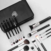 PAC ABSOLUTE BASICS BRUSH SERIES 21 ESSENTIAL BRUSHES ONE KIT