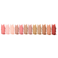 CHARACTER ARTIST MAKEUP PARIS MAJESTIC BLUSH PALETTE