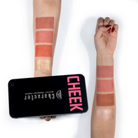 CHARACTER ARTIST MAKEUP PARIS PRO HIGHLIGHTER & BLUSH PALETTE-CA201