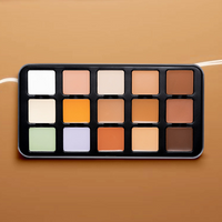 CHARACTER ARTIST MAKEUP PARIS PRO CONCEALER PALETTE-CA302