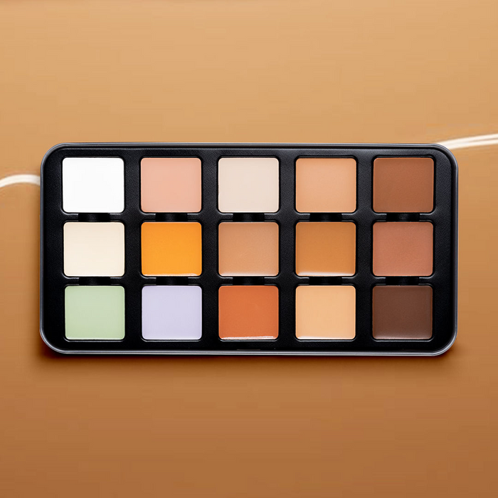 CHARACTER ARTIST MAKEUP PARIS PRO CONCEALER PALETTE-CA302