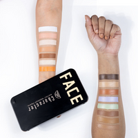 CHARACTER ARTIST MAKEUP PARIS PRO CONCEALER PALETTE-CA302