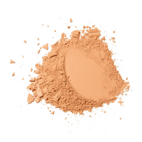 FOREVER52 PROFESSIONAL TWO WAY CAKE CAMPACT POWDER