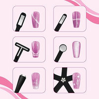 SHILLS PROFESSIONAL 6 IN 1 MAGNET