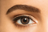 FRESHLOOK ONE-DAY COLOR CONTACT LENSES ( 10 PAIRS )