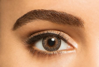 FRESHLOOK ONE-DAY COLOR CONTACT LENSES ( 10 PAIRS )