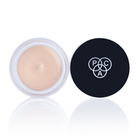 PAC STUDIO HD CONCEALER