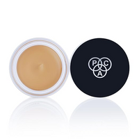 PAC STUDIO HD CONCEALER