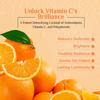 Richfeel Brightening Facial Kit Enriched With Vitamin C 30gm ( BUY 1 GET 1 OFFER )