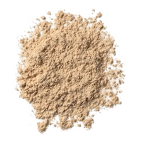 ONE SIZE ULTIMATE SETTING POWDER - TRANSLUCENT