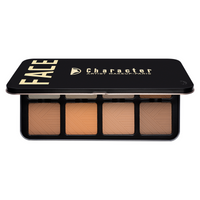 CHARACTER ARTIST MAKEUP PARIS PRO CONTOUR POWDER PALETTE-CA301