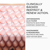LAKME SKIN ULTIME COLLECTION PERFECT RADIANCE 10% NIACINAMIDE RESORCINOL COMPLEX & ANTIOXIDANTS PIGMENTATION TREATMENT DAY GEL CREME 50G