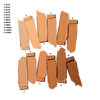 MAC PRO PALETTE FULL COVERAGE FOUNDATION X 12