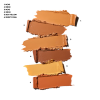 MAC STUDIO FIX CONCEAL AND CORRECT PALETTE