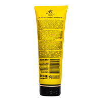 FLOVACTIVE PROFESSIONAL MARROCO GOLDEN PLUS SHAMPOO 250ML