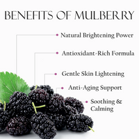 SHILLS PROFESSIONAL MULBERRY FACE SHEET MASK SKIN SMOOTHENING